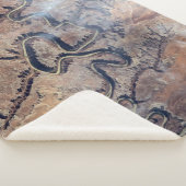 Der grüne Fluss mit seinen Nebenschluchten in Utah Sherpadecke (3/4)