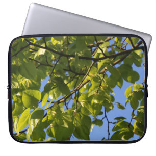Der grüne Frühling verlasse in blauem Himmel. Laptopschutzhülle