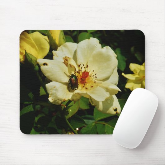 Der grüne Käfer auf der Gelben Rose Mousepad (Mit Mouse)