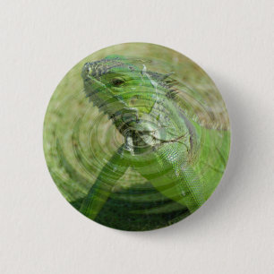 Der Grüne Leguan Button