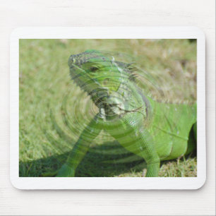Der Grüne Leguan Mousepad