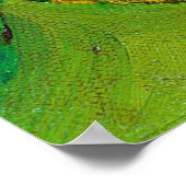 Der grüne Vogel mit dem blauen Schnabel Poster (Ecke)