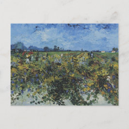 Der grüne Weinberg Vincent Van Gogh Postkarte