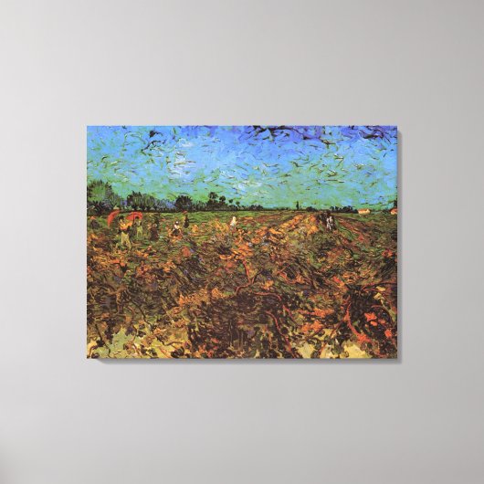 Der grüne Weinberg von Vincent van Gogh Leinwanddruck (Vorderseite)