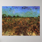 Der grüne Weinberg von Vincent van Gogh Poster (Vorne)