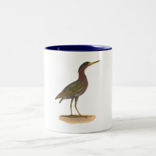 Der Grünreiher oder Poke (Ardea virescens) Zweifarbige Tasse