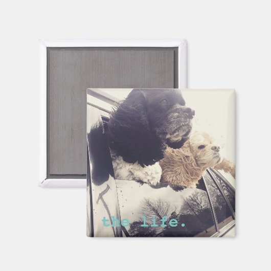 der gute Lebensmagnet Magnet (Vorderseite/Rückseite)