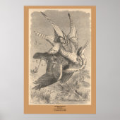 Der Gyrfalcon Poster (Vorne)