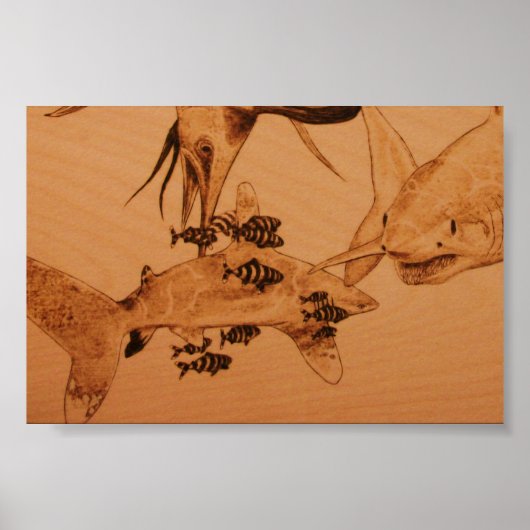 Der Hai-Bully Poster (Vorne)