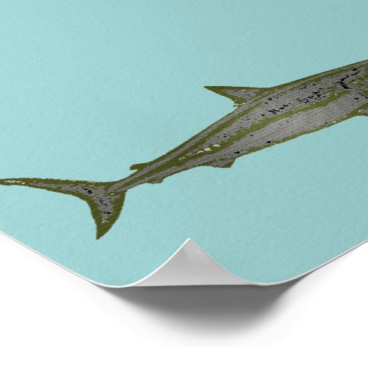 der Hai Poster (Ecke)