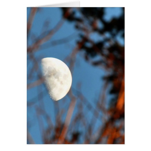 Der halbe Mond durch unfruchtbare Zweige (Vorne)