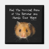 Der Hamster Magnet (Vorne)