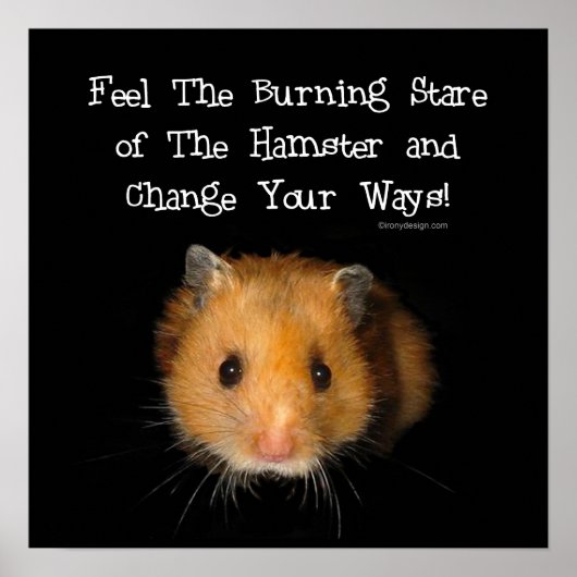 Der Hamster Poster (Vorne)