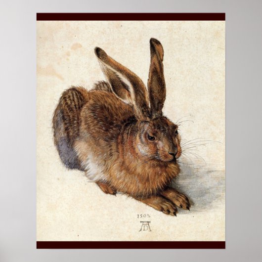 DER HASE ( Junger Hase ) Poster (Vorne)