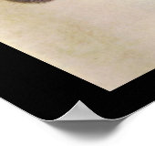 DER HASE ( Junger Hase ) Poster (Ecke)