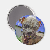 Der hässlichste Hund der Welt Magnet (Vorderseite/Rückseite)