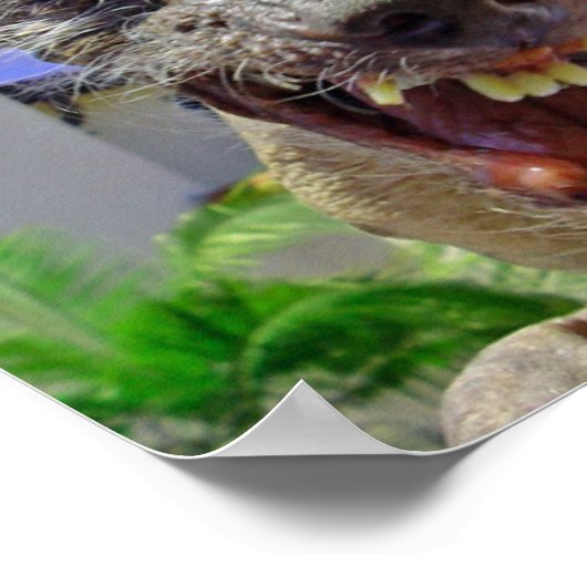 Der hässlichste Hund der Welt Poster (Ecke)