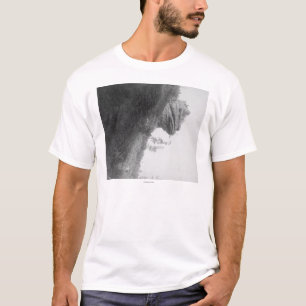 Der Hauptfelsen des Frosches auf T-Shirt