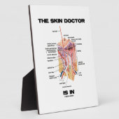 Der Hautarzt ist in (Anatomie Dermatologie). Fotoplatte (Seite)