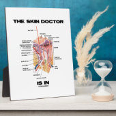 Der Hautarzt ist in (Anatomie Dermatologie). Fotoplatte (Seite)