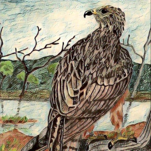 Der Hawk Leinwanddruck