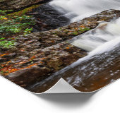 Der Hawk-Rückgang im Herbst 14x11" Poster (Ecke)