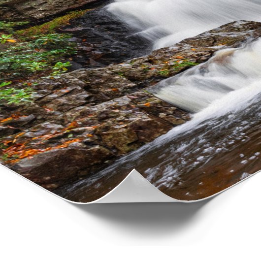 Der Hawk-Rückgang im Herbst 14x11" Poster (Ecke)