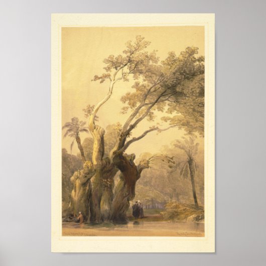 Der heilige Baum, Metereah Poster (Vorne)