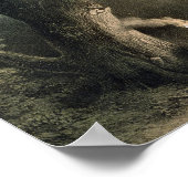 Der heilige Boden der Druiden Poster (Ecke)