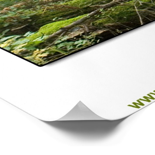 Der heilige Boden Poster (Ecke)