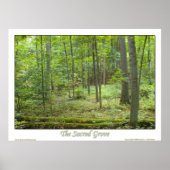 Der heilige Boden Poster (Vorne)