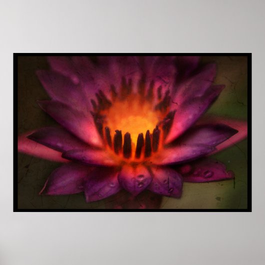 Der heilige Feuertanz eines Lotus Poster (Vorne)
