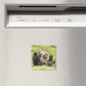 Der hellbraune Bär Magnet (In Situ (Geschirrspüler))