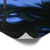 Der helle Mond, Silhouette der Kokospalmen Poster (Ecke)