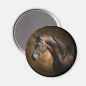 Der Hengst Magnet (Vorderseite/Rückseite)
