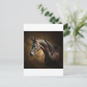Der Hengst Postkarte (Stehend Vorderseite)