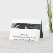 Der Hengst rennt bei Sonnenaufgang Wild Pferd Gruß Karte (Rückseite)