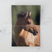 Der Hengst rennt bei Sonnenaufgang Wild Pferd Gruß Karte (Innenseite)