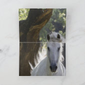 Der Hengst und die Grußkarte des Baumpferdes Karte (Innenseite)