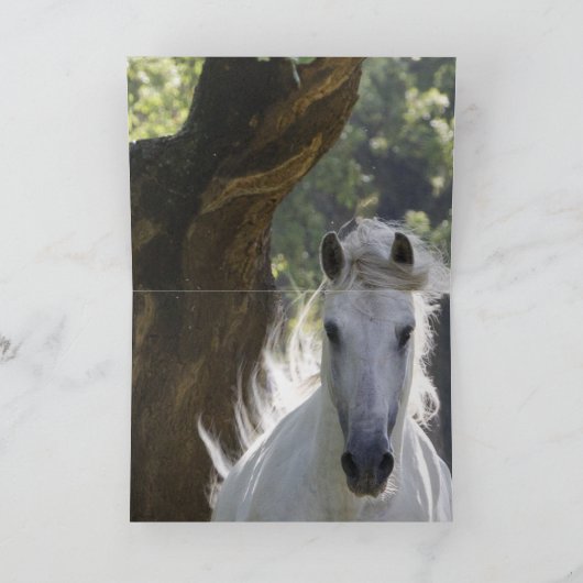 Der Hengst und die Grußkarte des Baumpferdes Karte (Innenseite)