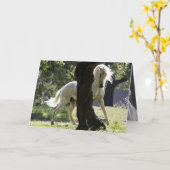 Der Hengst und die Grußkarte des Baumpferdes Karte (Gelbe Blume)