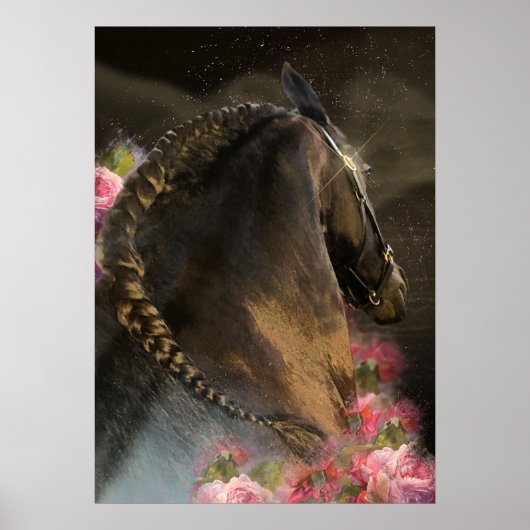 Der Hengst und die Rose - Poster (Vorne)