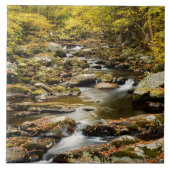 Der Herbst am Großen Bach Fliese (Vorderseite)