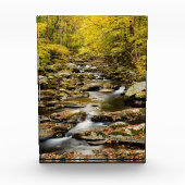Der Herbst am Großen Bach Fotoblock (Vorderseite)