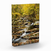 Der Herbst am Großen Bach Fotoblock (Links)