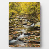 Der Herbst am Großen Bach Fotoplatte (Vorderseite)