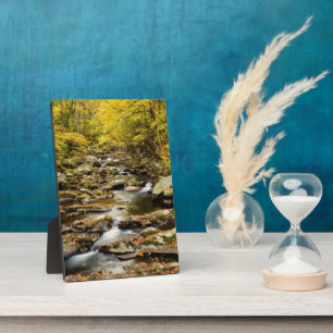 Der Herbst am Großen Bach Fotoplatte