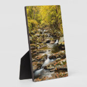 Der Herbst am Großen Bach Fotoplatte (Seite)