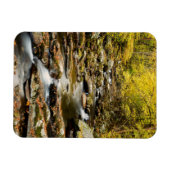 Der Herbst am Großen Bach Magnet (Horizontal)