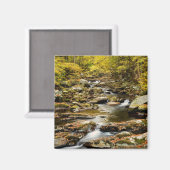 Der Herbst am Großen Bach Magnet (Vorderseite/Rückseite)